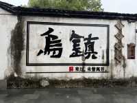 Drizzling Wuzhen at its upmost beauty