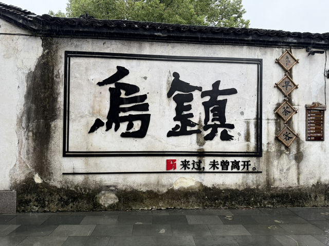 Drizzling Wuzhen at its upmost beauty