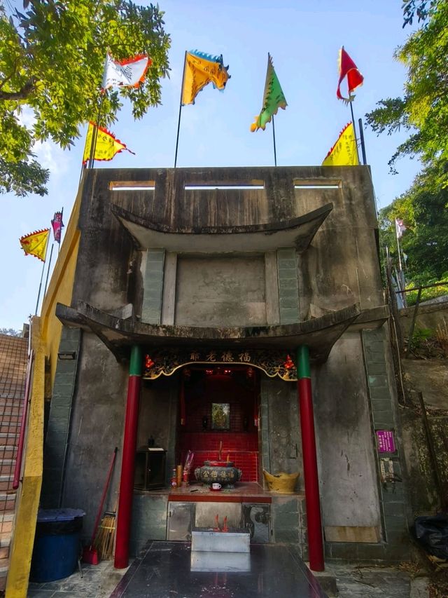 水庫公園對上的小小格仔山丘
