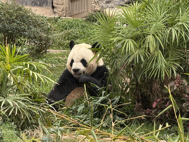 澳門情人節篇❤️