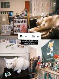 ไปเดทกัน แบบสายเติมแมวกันที่ Moon.S Cafe