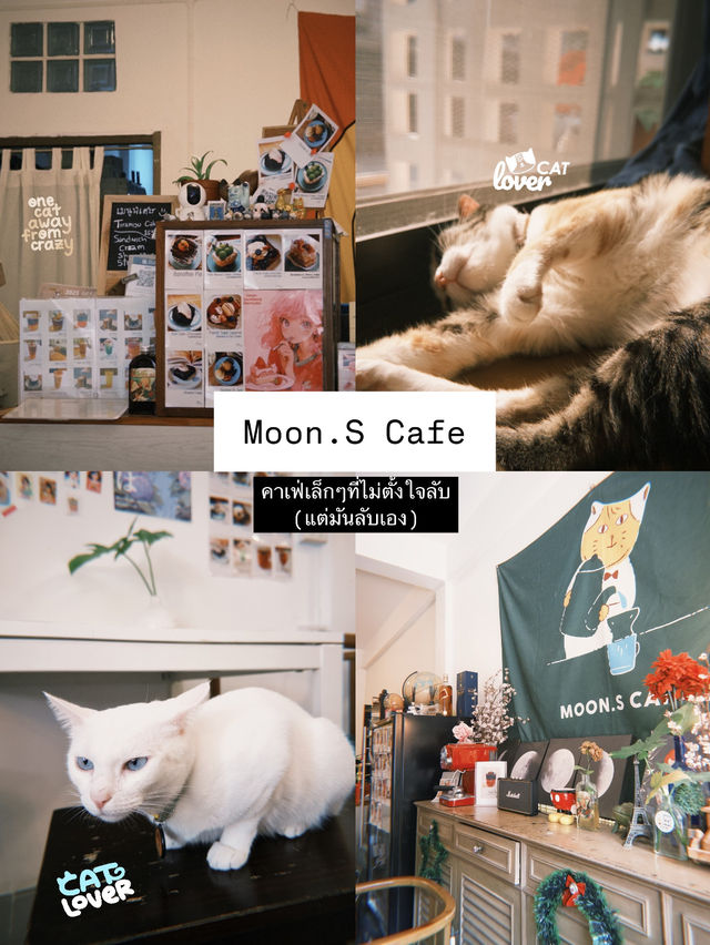 ไปเดทกัน แบบสายเติมแมวกันที่ Moon.S Cafe