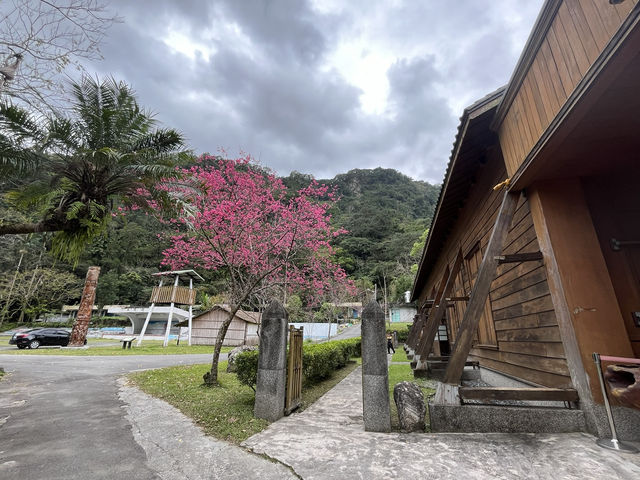 林田山文化園區～檜木芬多精滿滿的好地方