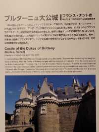 🏯⚔️ ✅大阪城 攻略ガイド – 歴史と絶景を楽しむ完全プラン！