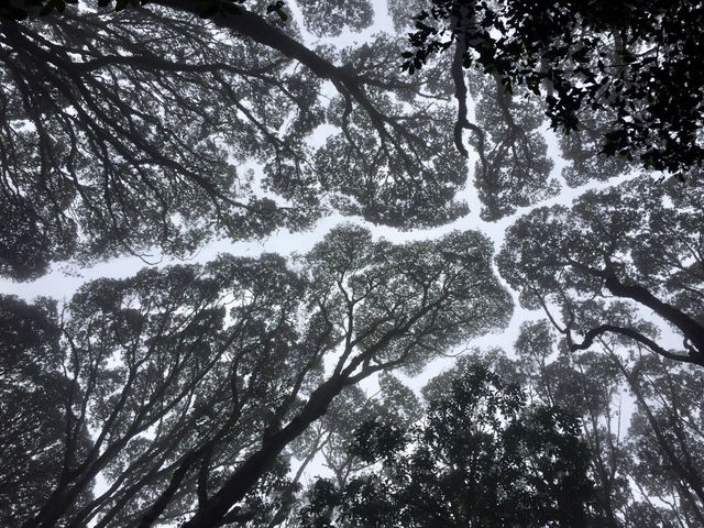 挑戰非洲最高峰——吉力馬扎羅山