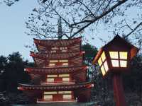 Chureito Pagoda x ซากุระ x ฟูจิ