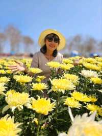 สวนวิลาวัณย์-วังน้ำเขียว Wilawan garden
