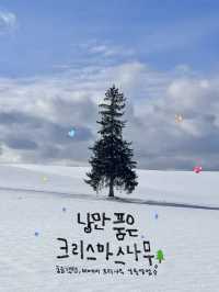 비에이 필수 여행지를 알려드려요!