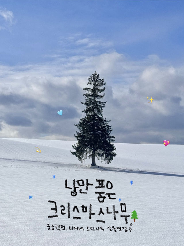 비에이 필수 여행지를 알려드려요!