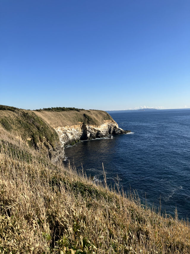魅力満点　城ヶ島