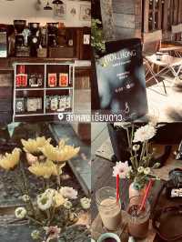 คาเฟ่ชิคๆในเชียงใหม่