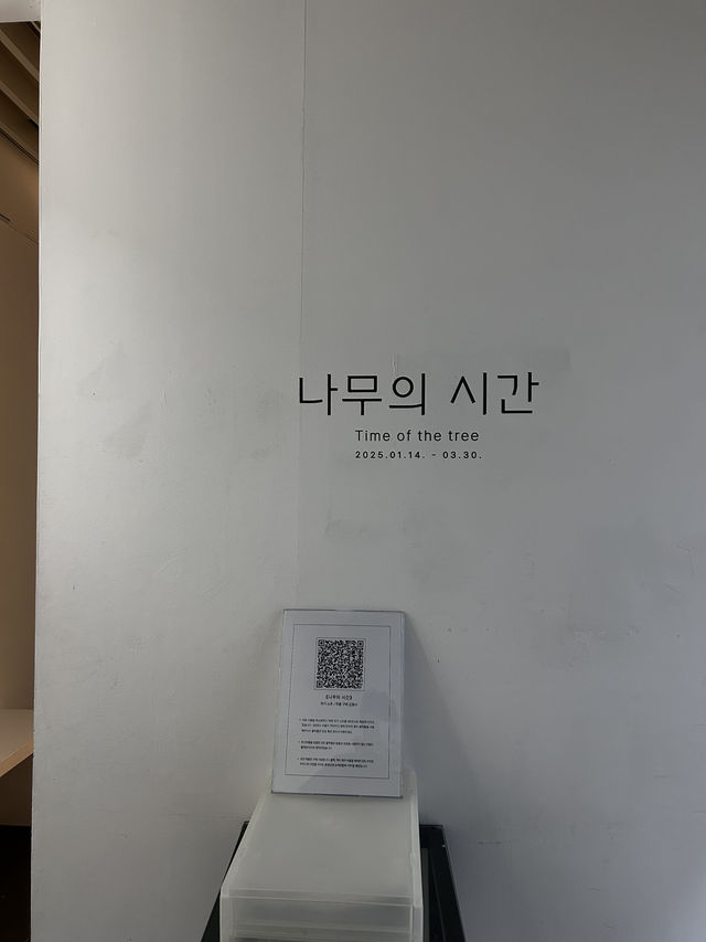 흙으로 돌아가는 우리를 느낄수 있는 나무의 시간🇰🇷