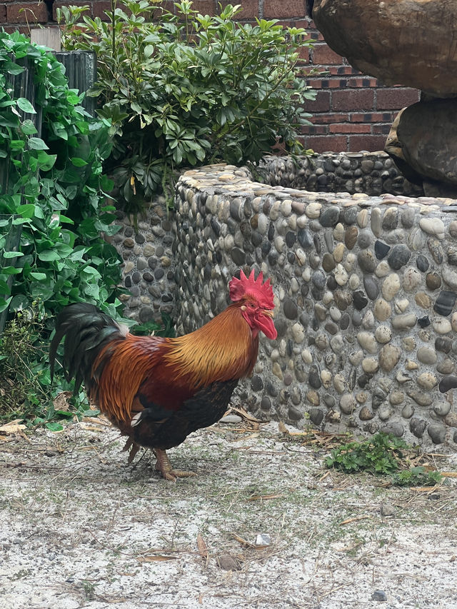英德2日遊