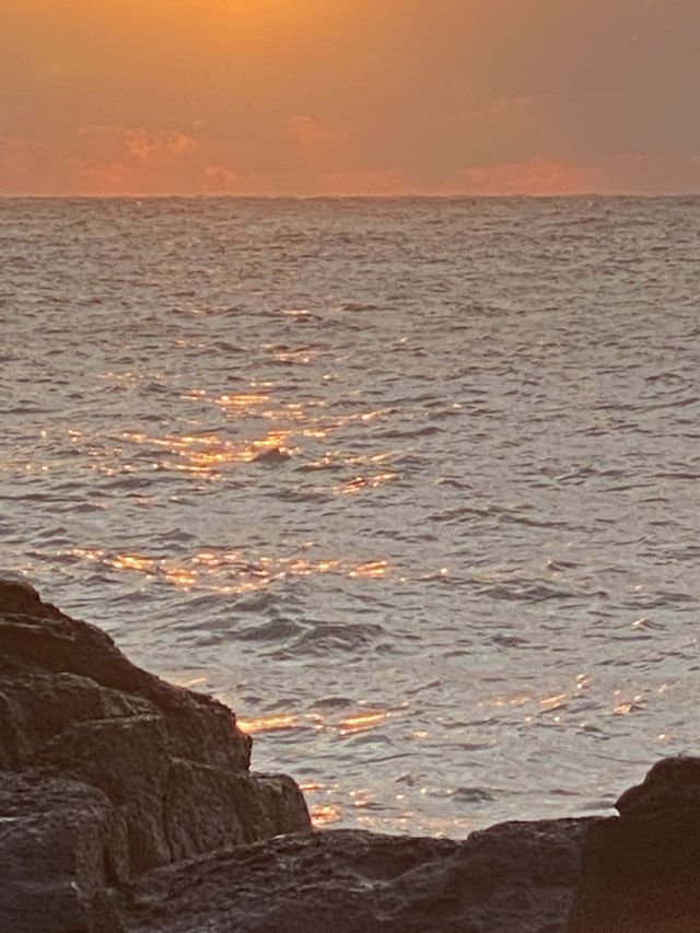 제주도 5박6일 여행 🍊 - ❶