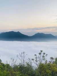 ทะเลหมอกภูทอก เชียงคาน – ฟีลดีมาก มาแล้วจะหลงรัก