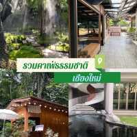 รวมคาเฟ่ธรรมชาติ ที่เชียงใหม่ 🏞️