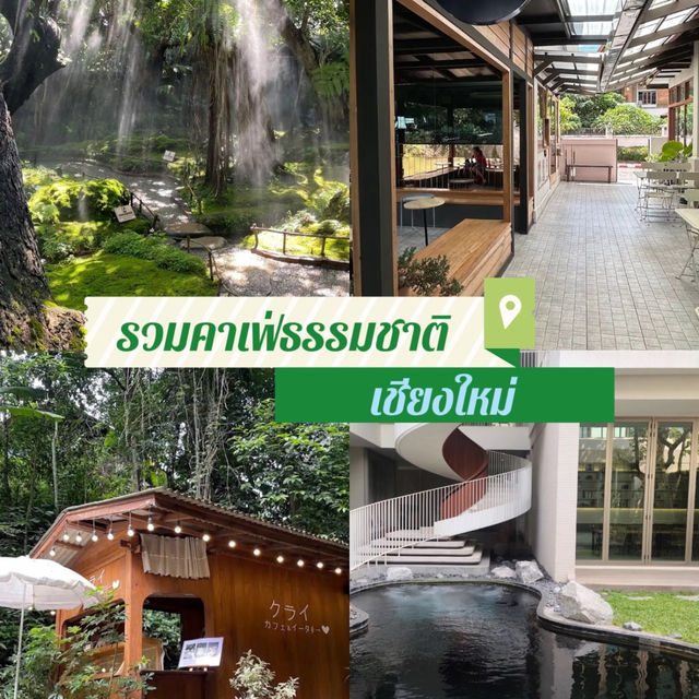 รวมคาเฟ่ธรรมชาติ ที่เชียงใหม่ 🏞️