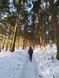 || 한라산 || 남한에서 가장 높은 곳에서 설경을 즐기세요 ❄️🗻