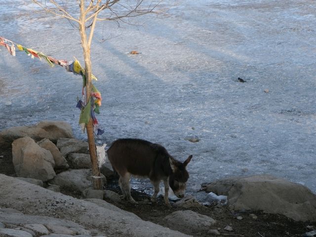 Nako Village