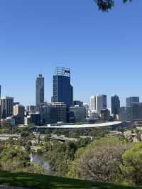 Kings Park Adventure: Nature, Views & Culture