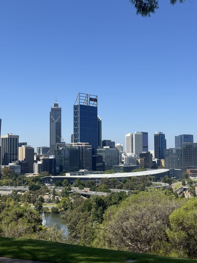 Kings Park Adventure: Nature, Views & Culture