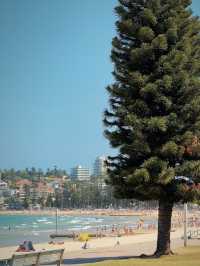 Sun, Surf, and Scenic Views – My Visit to Manly Beach, Sydney