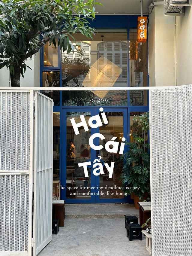 HAI CAI TY 