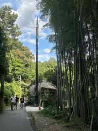 A Timeless View: Exploring Kiyomizudera in Kyoto