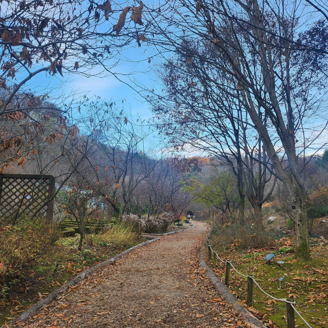 💕🏔️강원도 춘천 서울 근교  제이드가든 