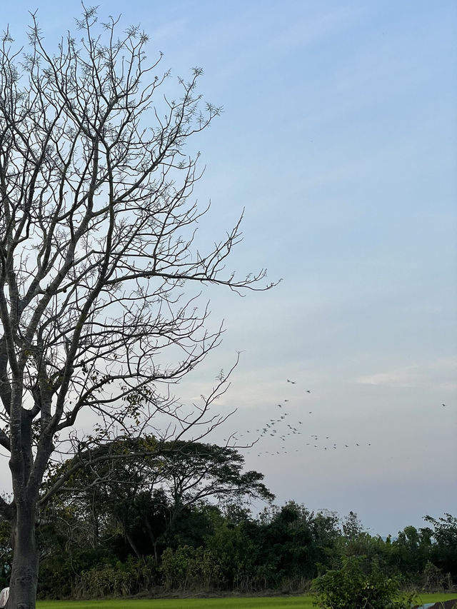 ชมพระอาทิตย์ตก ที่บ้านน้ำชำ 🌥️