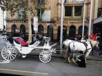 Melbourne 🇦🇺: The Ultimate Melbourne & Great Ocean Road Adventure