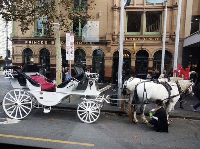 Melbourne 🇦🇺: The Ultimate Melbourne & Great Ocean Road Adventure