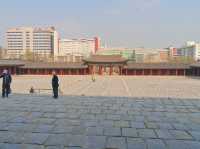🌸따뜻한 봄에 나들이하기 좋은 곳, 서울 창경궁🏰🌳