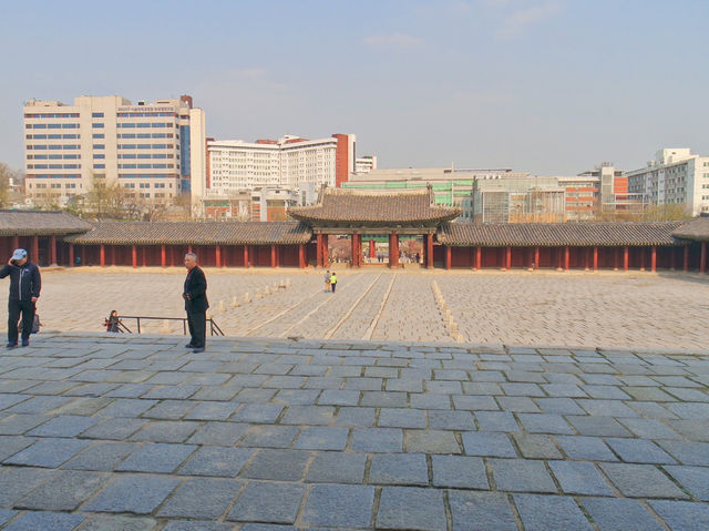 🌸따뜻한 봄에 나들이하기 좋은 곳, 서울 창경궁🏰🌳