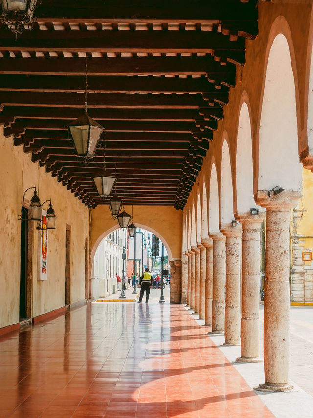 セノーテ巡りするならここ！バヤドリド🇲🇽