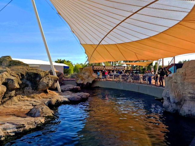 多麼神奇的水族館