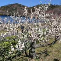 Togokusan Fruit Park (東谷山フルーツパーク)