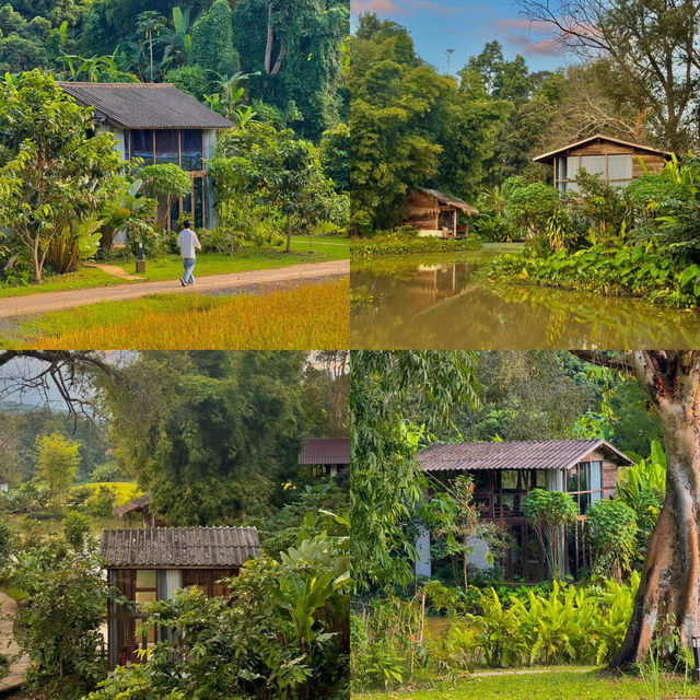นอนโฮมสเตย์สุดชิล กลางหุบเขา เชียงใหม่ 🏠🌳