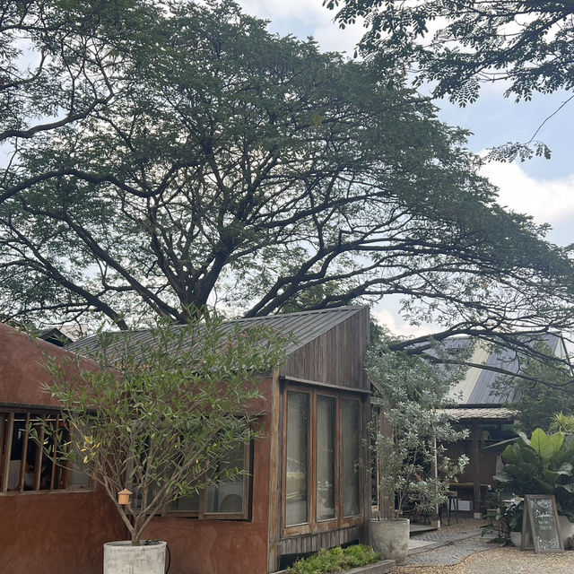 คาเฟ่ใต้ต้นไม้ใหญ่สุดชิล สระบุรี