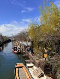 福岡｜水鄉柳川遊船 飽覽江戶時代城下町美景與船夫技藝