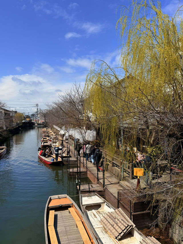 福岡｜水鄉柳川遊船 飽覽江戶時代城下町美景與船夫技藝