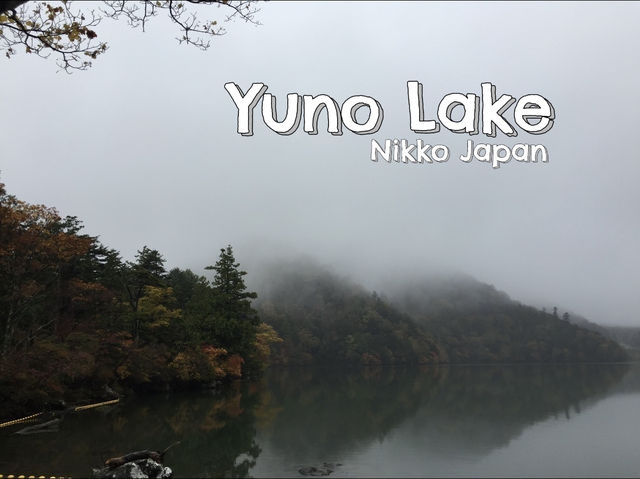 ชิลกลางสายหมอก พักใจกลางธรรมชาติที่ Yuno Lake