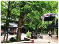 【長野/軽井沢】軽井沢の日常を再現したオシャレスポット＊ハルニレテラス＊