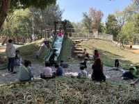 臺中 后里森林園區 🆕 最新公園開放囉～多種溜滑梯還有搖椅可以chill一下！