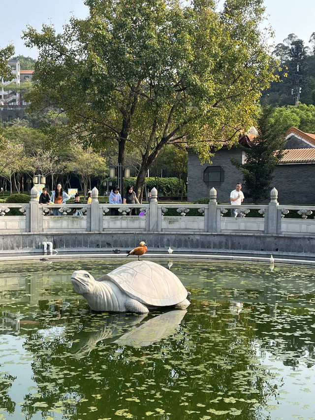 🇨🇳포산 순펑산공원에서 여유 즐기기 📍顺峰山公园