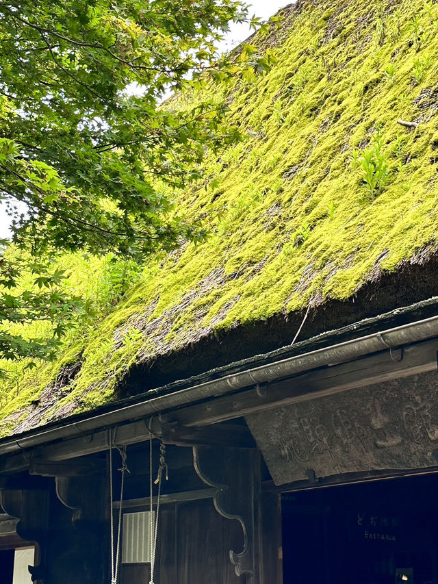 まるでタイムスリップ✨下呂温泉合掌村で日本の原風景を満喫！
