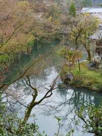 【京都×春旅】 境内中心の大きな池  裏手の華美でない奥ゆかしさ