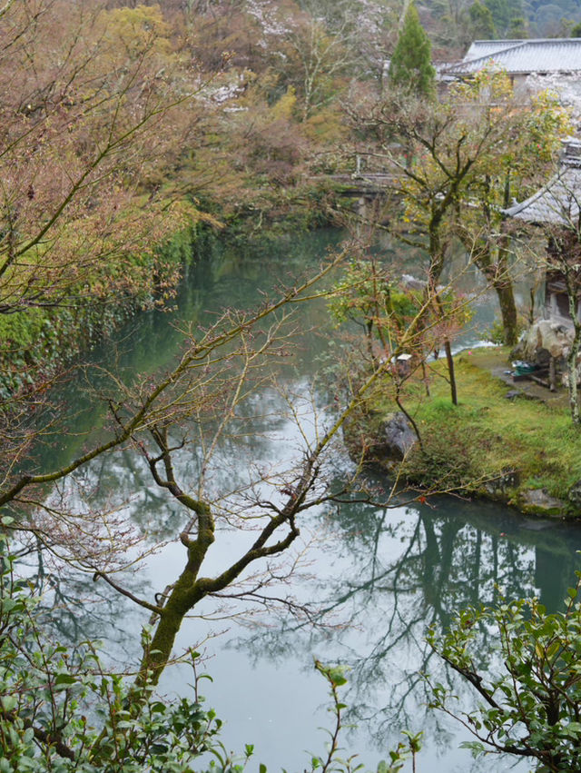 【京都×春旅】 境内中心の大きな池  裏手の華美でない奥ゆかしさ