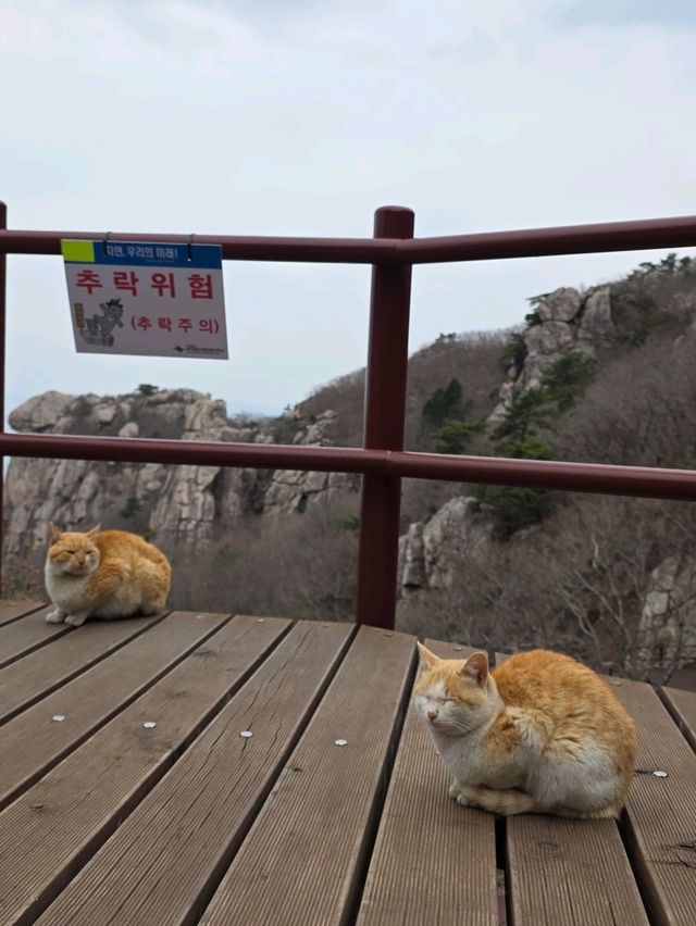 ✨️인스타 필수 인증사진 찍는 곳✨️