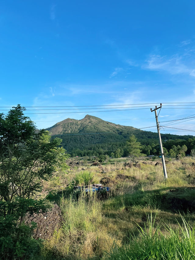 Amazing Spring View of Kintamani Batur
